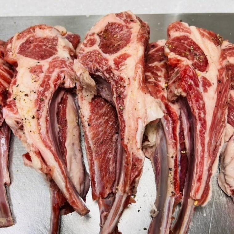양고기 양갈비 숄더랙 바베큐 캠핑 고기 800g