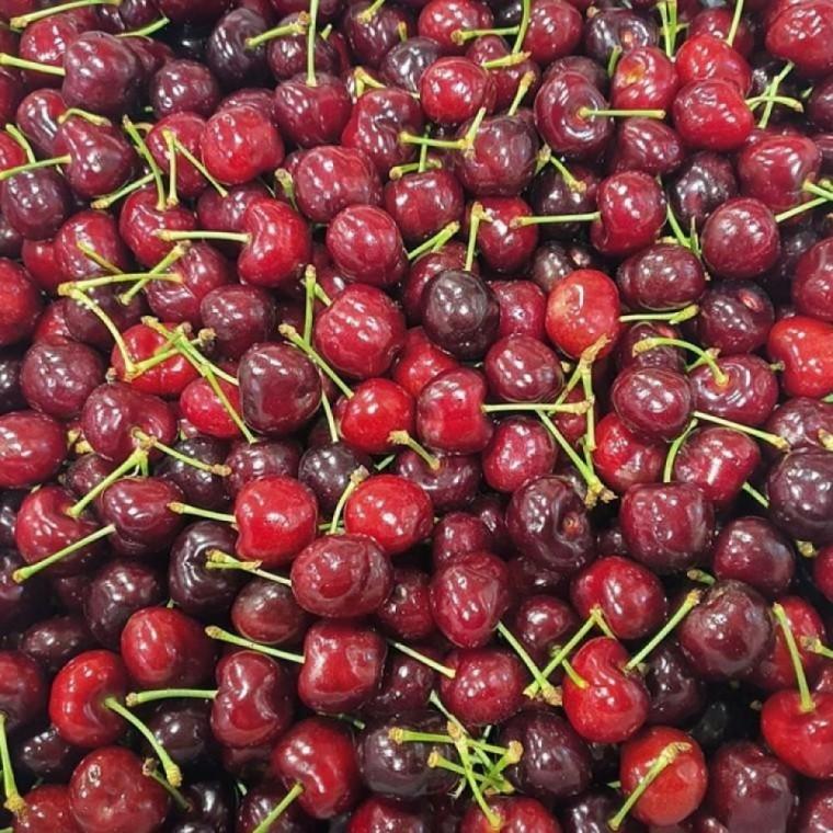 생체리 1kg 간식 과일 선물용