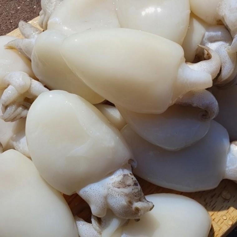 냉동 미니 갑오징어 200g 8팩