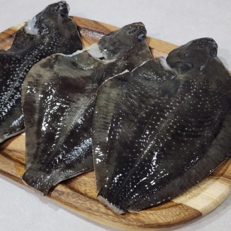 냉동 손질 도다리 2kg 흰살 생선