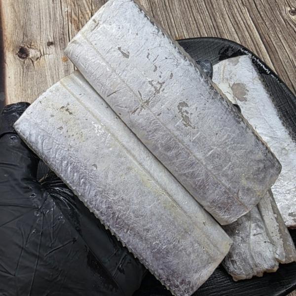 국내산 냉동 갈치 1kg