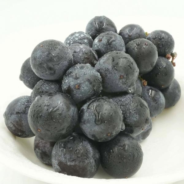 거봉 포도 1kg