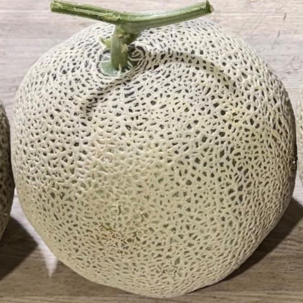 머스크 멜론 2kg