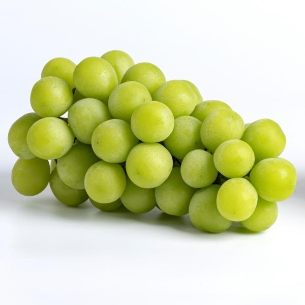 샤인머스켓 3kg