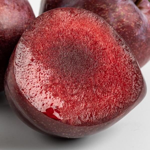 피자두 1kg 상