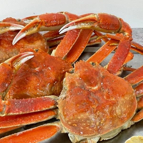 마가단 자숙 박달대게 1미