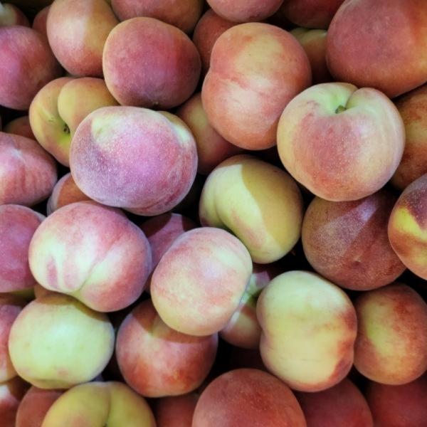 대극천 복숭아 1kg 대