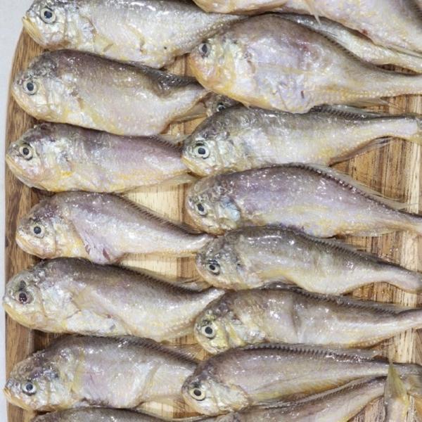 국내산 황석어 1kg