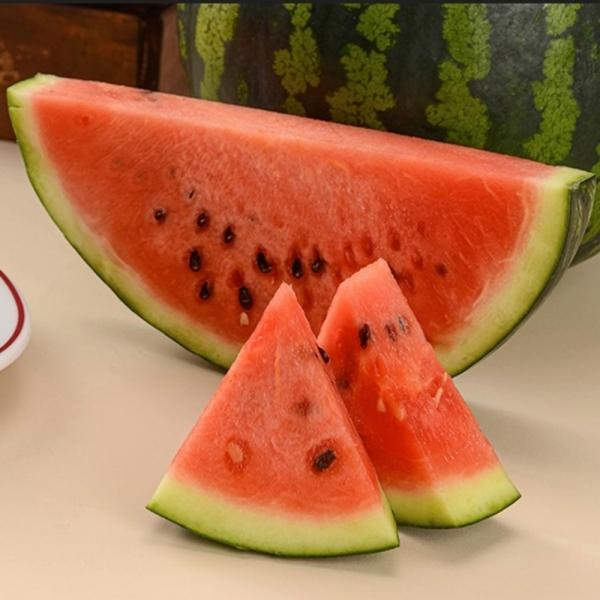 가정용 수박 3kg