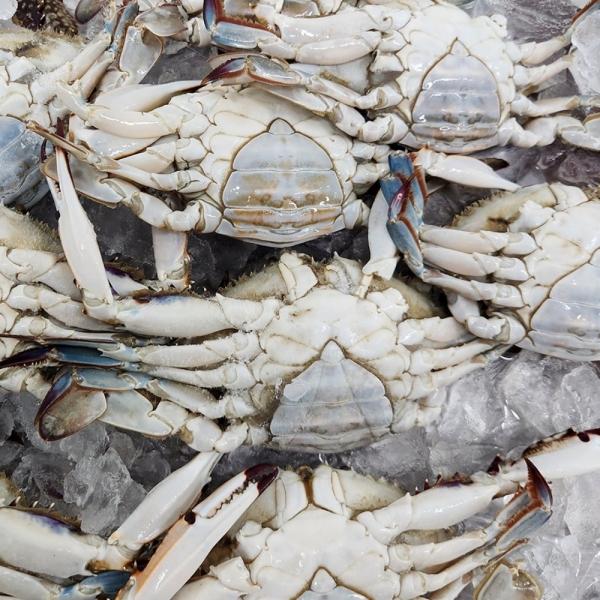 서해안 냉동 암꽃게 3kg