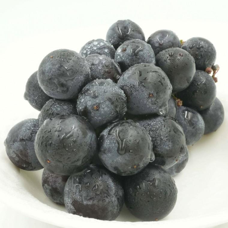거봉 포도 2kg