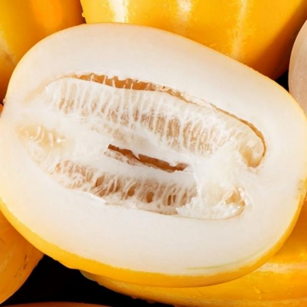성주 참외 가정용 2kg 한입