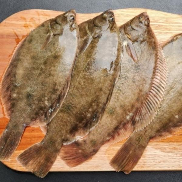 냉동 도다리 3kg