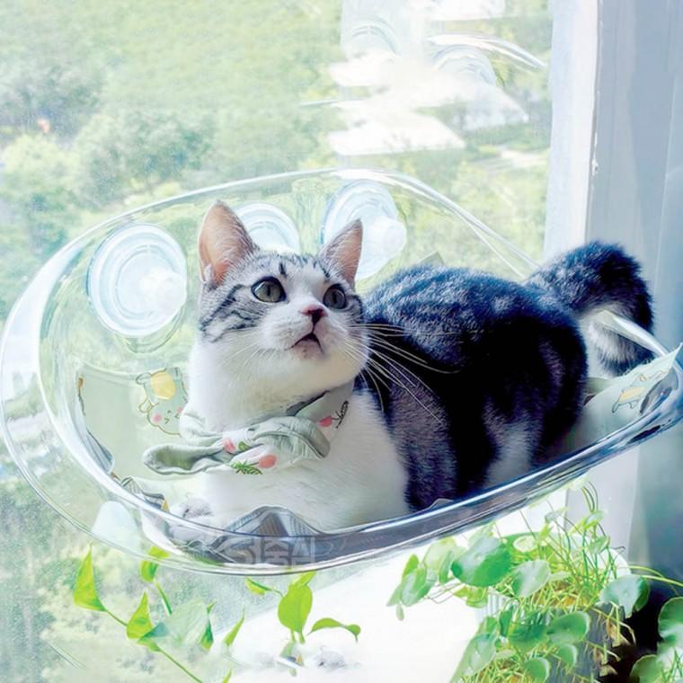 고양이 창문해먹 투명 캣타워 냥이 낮잠 휴식 숨숨집 PE