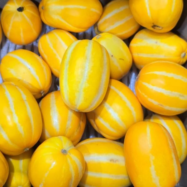 성주 참외 못난이 3kg