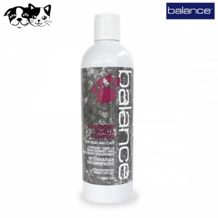바란스 블랙베리 바닐라샴푸 503ml (보습) (강아지 샴푸)