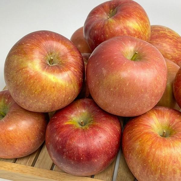 부사 사과 특품 1kg 중과
