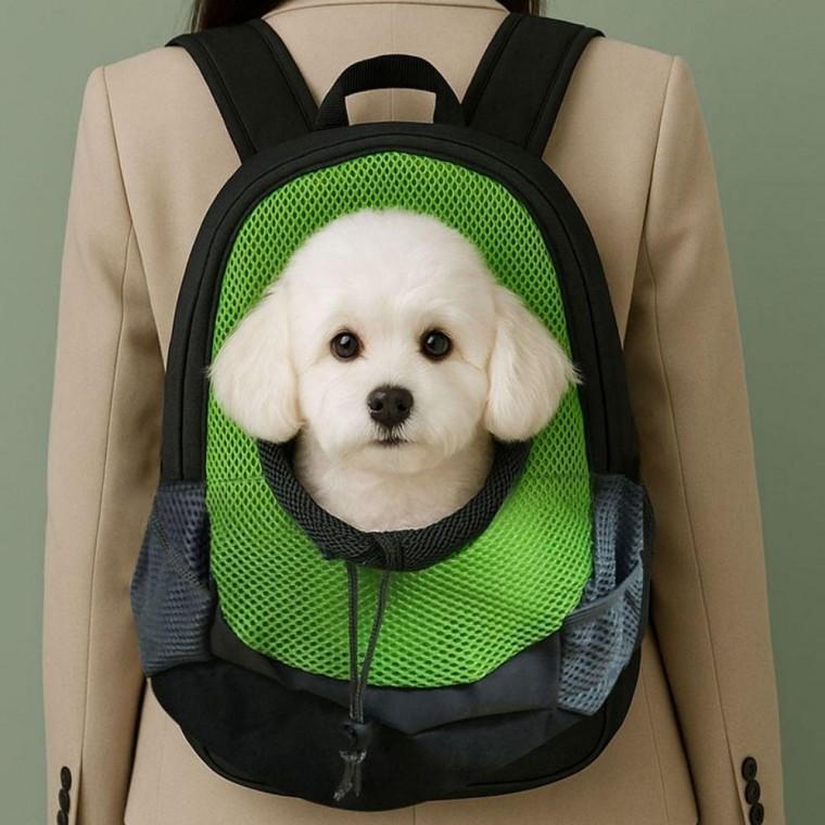 애견옷 메쉬 반려동물 펫 고양이 배낭 백팩 강아지