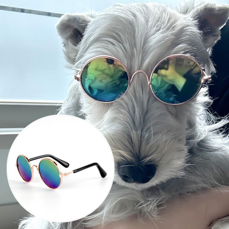 강아지 고양이 선글라스 레인보우