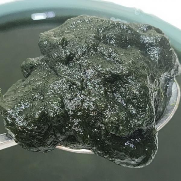 국내산 매생이 400g 10봉