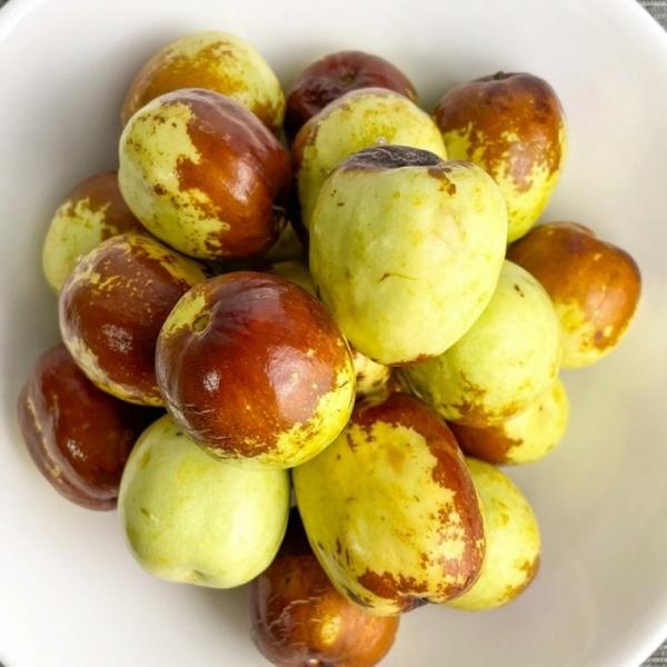 사과대추 1kg 상