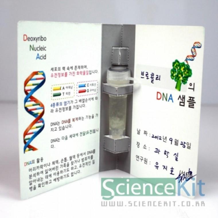 식물세포 DNA추출 샘플북 만들기 4인세트