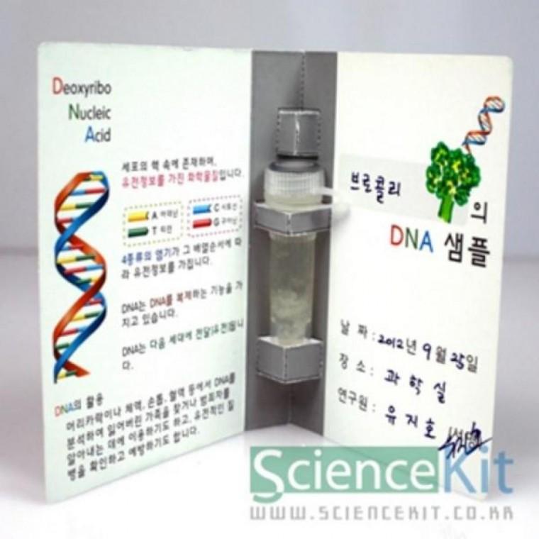 DNA추출1 식물세포(4인용)