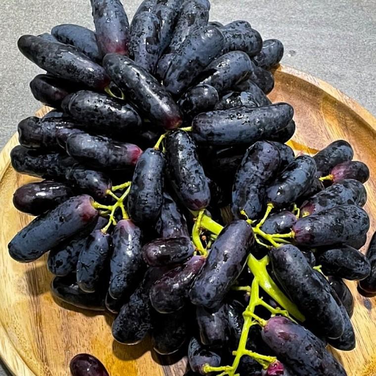 블랙사파이어 포도 1kg