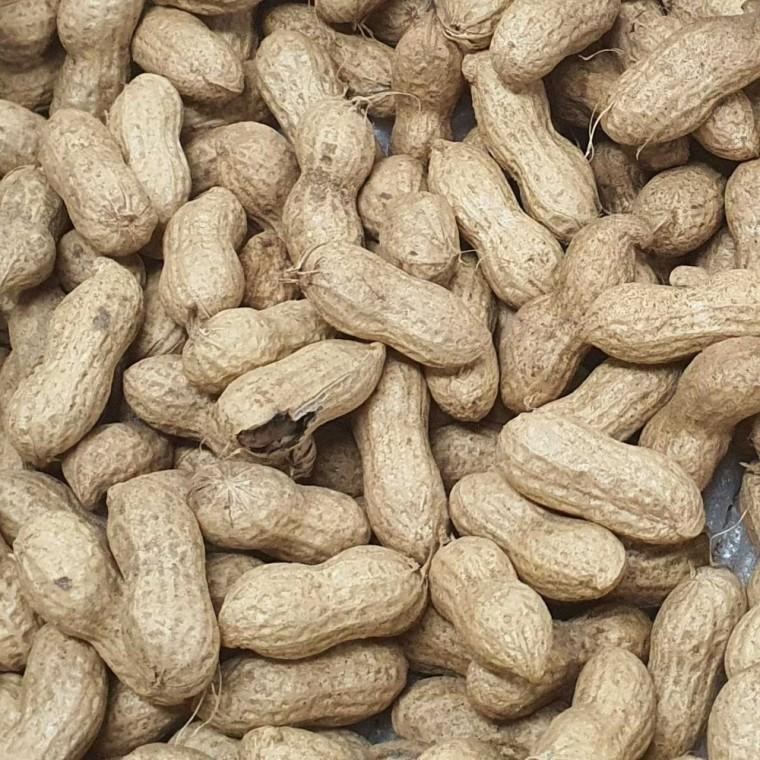 국내산 땅콩 1kg