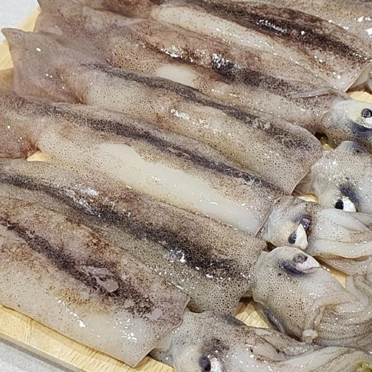냉동 오징어 1kg