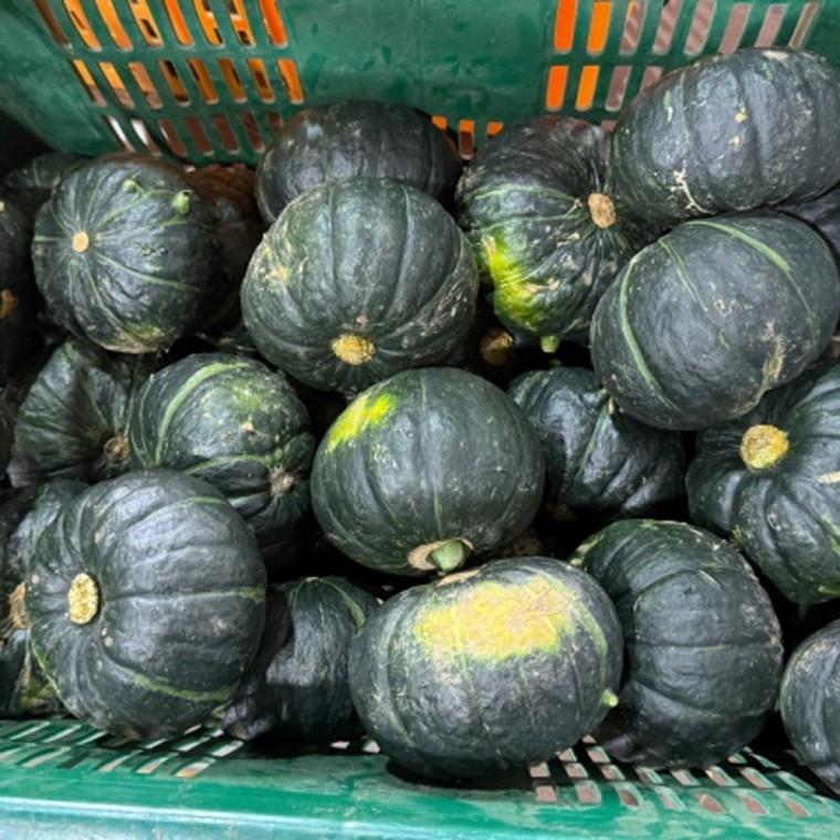 제주 미니 밤호박 단호박 5kg