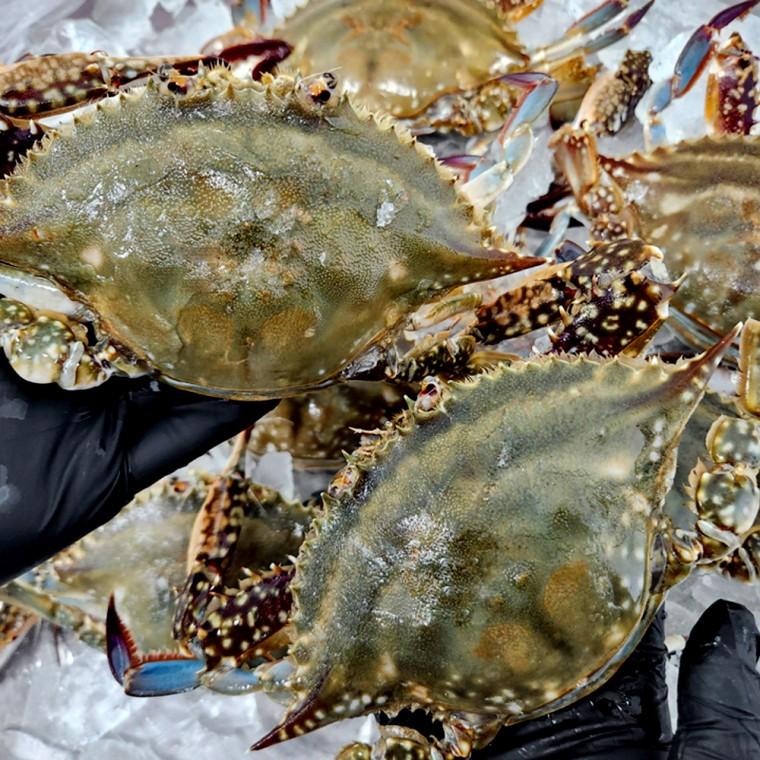 [바른정성] 연평도 암꽃게 1kg 중량 보장 급속냉동 3-5미