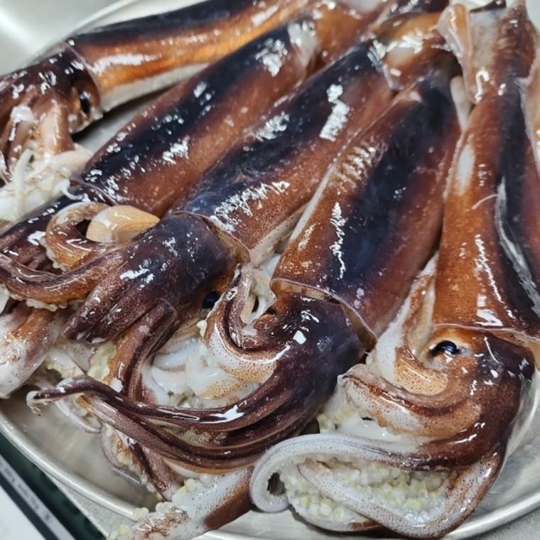 국내산 냉동 오징어 2kg