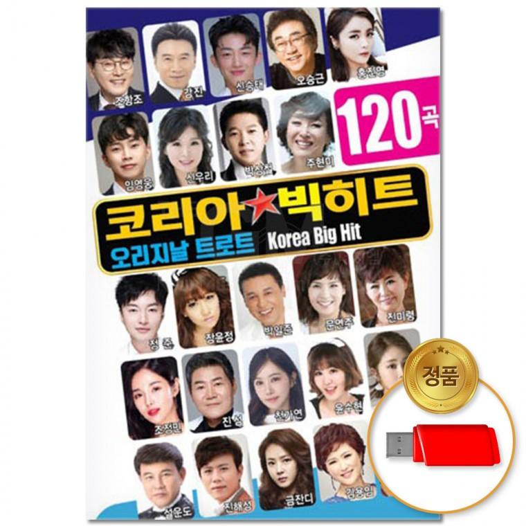 [더지엠]USB 코리아 빅히트 120곡