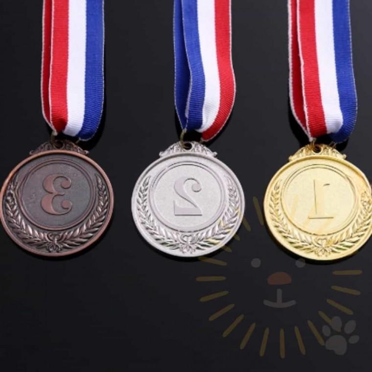 체육대회 기념 시상 상장 상메달 체육대회메달