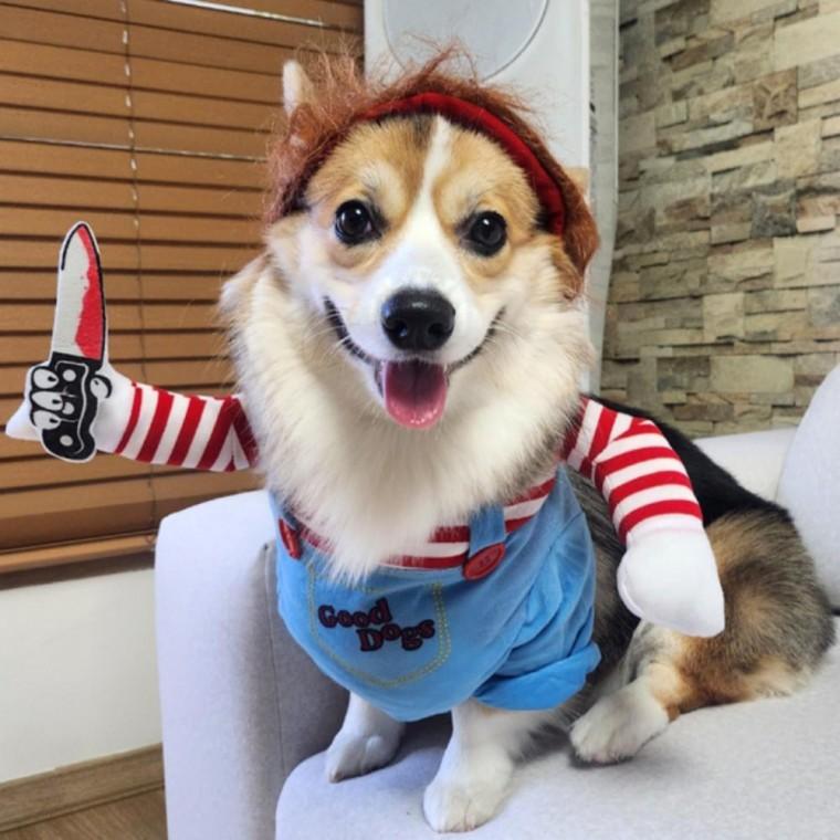 고양이 강아지 처키 웃긴옷 코프레 할로윈 특이한 애견 L