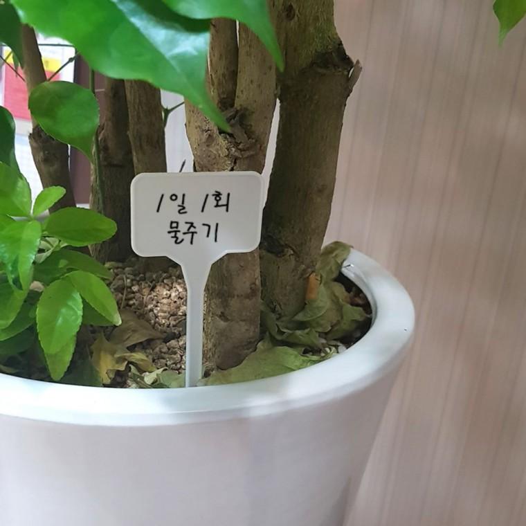 작물 표시판 화분 식물 이름표 원예 라벨 텃밭 구분 표시
