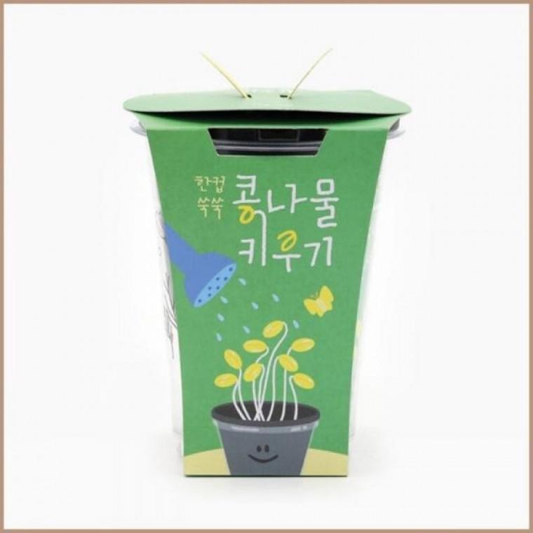한컵쑥쑥 콩나물 키우기