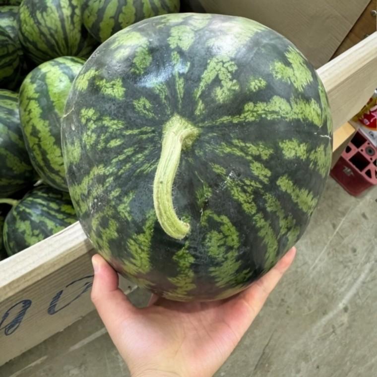 고당도 못난이 수박 4kg 시원한 제철 과일 꿀수박 고당도수박