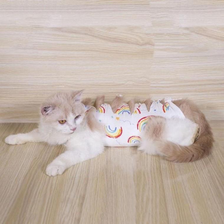고양이 리본 중성화복 수술복 강아지 무지개 수술옷 강아지 수면 의류
