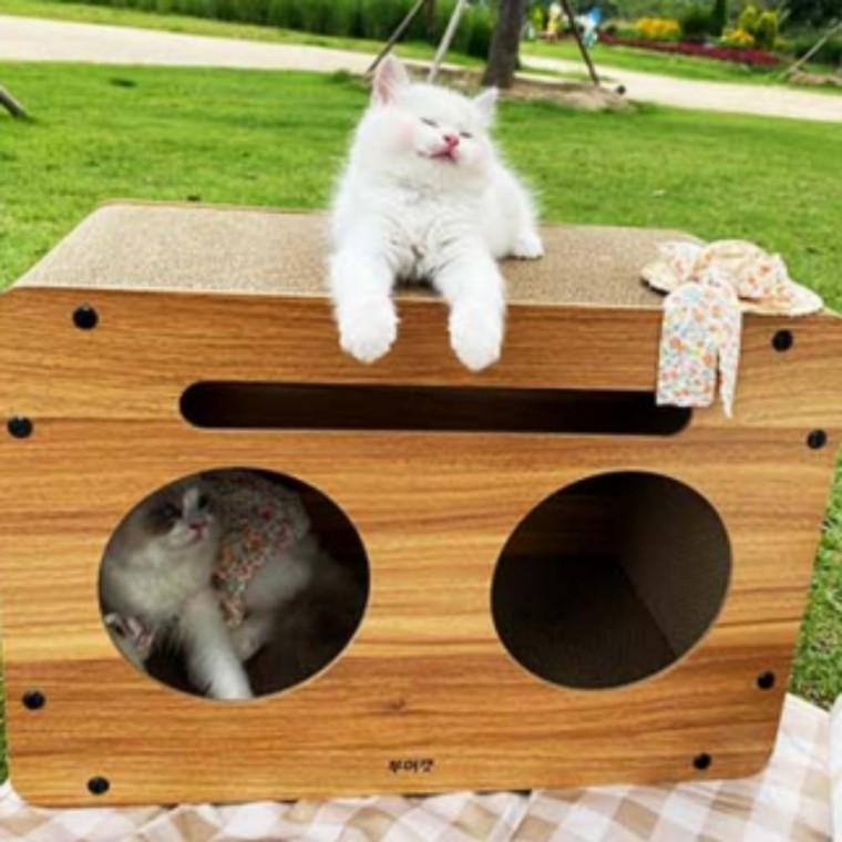 고양이 견고한 숨숨집 라디오 1P 스크래처 하우스