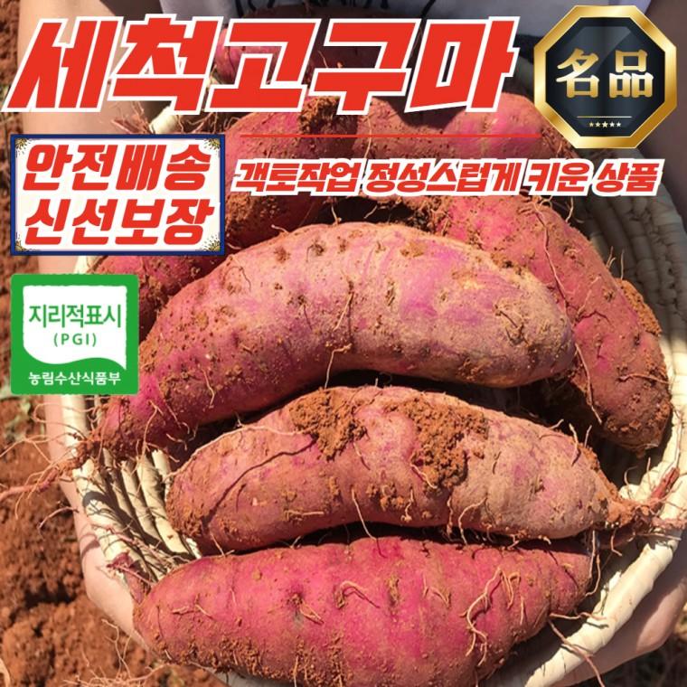 해남 고압살균 세척 고구마 3kg (한입)