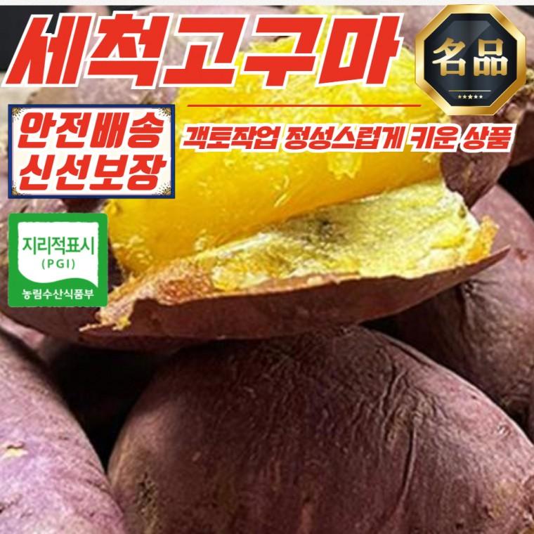 해남 고압살균 세척 고구마 5kg (대)