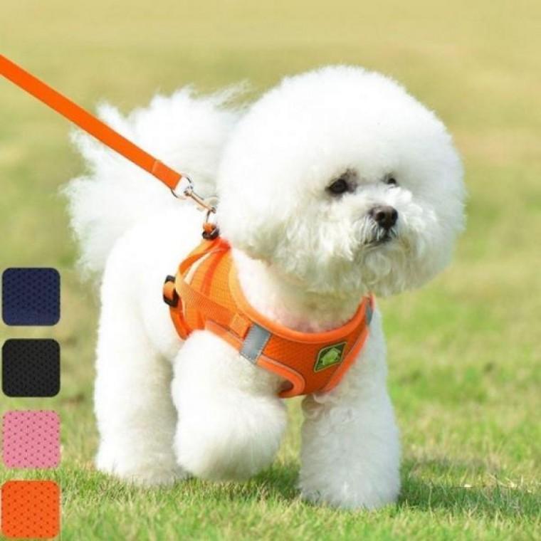 강아지 산책줄 가슴줄 야간 반사 하네스 목줄 소형견 대형견 애견 반려 견하 산책용 메쉬
