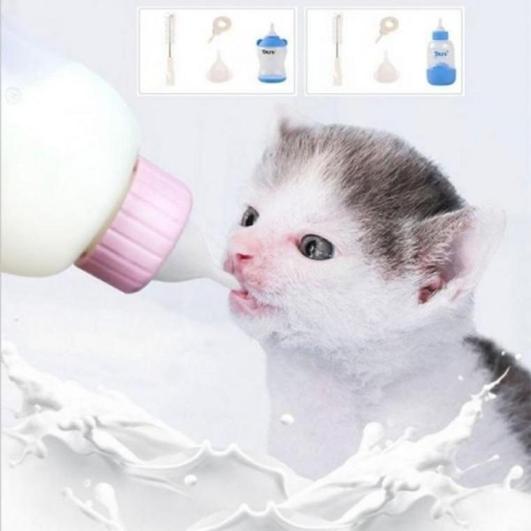 애완 동물 젖병 세트 강아지 고양이 반려 80-100ml 접병 새끼 공양이 세척 물병