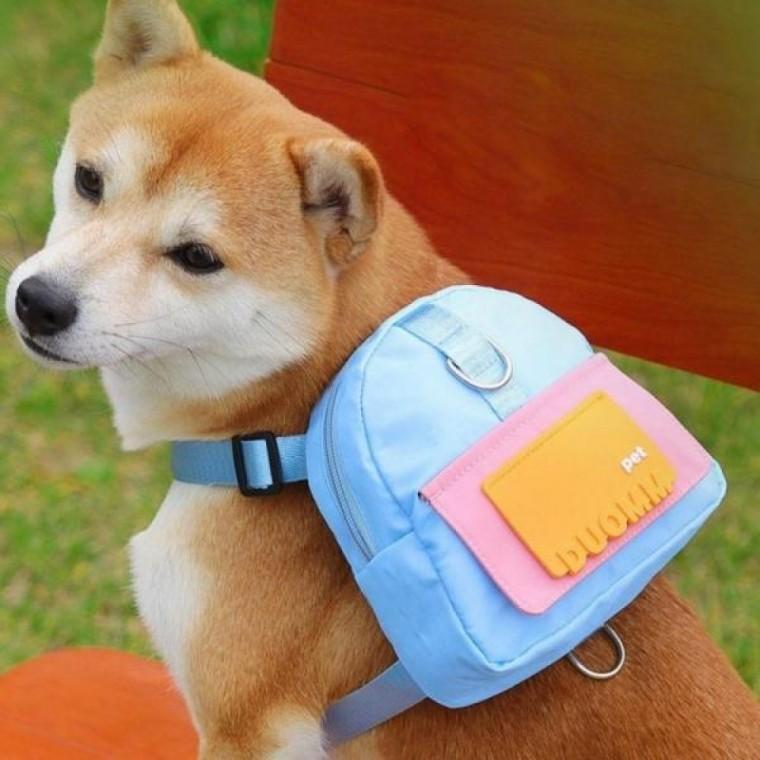 PET 강아지 가방 하네스 산책 유치원 리드줄 슬링백 강아지백팩 포대기 고양이