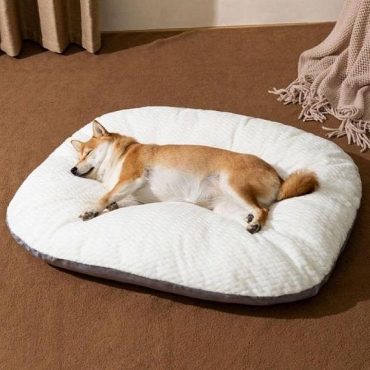 PET 강아지 방석 쿠션 꿀잠 무중력 고양이 침대 애견 도넛 골골