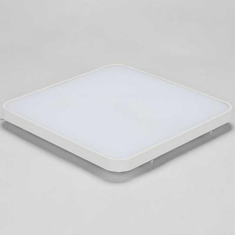 방등 LED 50W 주광