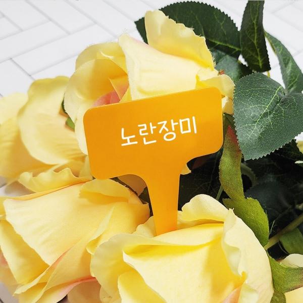 컬러 식물 이름표 대