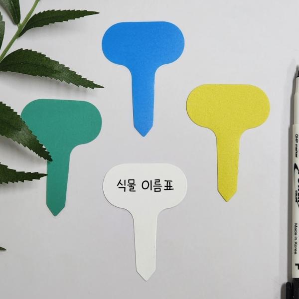 컬러 식물 이름표 소